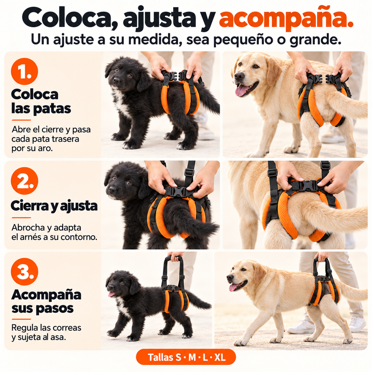 Arnés trasero PawLift™️