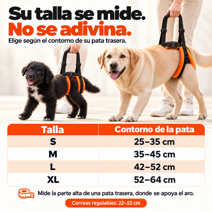 Arnés trasero PawLift™️